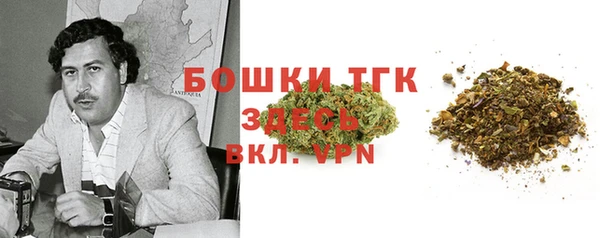 PSILOCYBIN Белокуриха