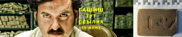 PSILOCYBIN Белокуриха