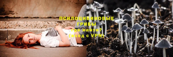 PSILOCYBIN Белокуриха