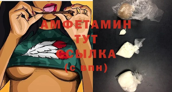 гашик Богданович