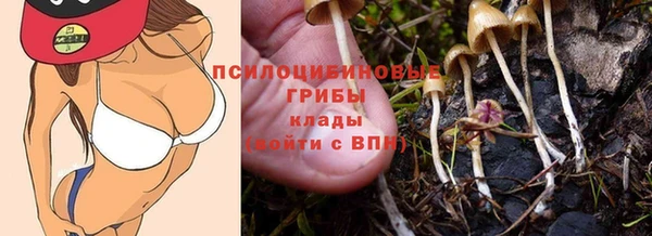 PSILOCYBIN Белокуриха