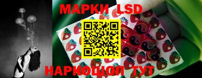 стаф Заводоуковск