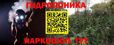 ГАЛЛЮЦИНОГЕННЫЕ ГРИБЫ Жуковский
