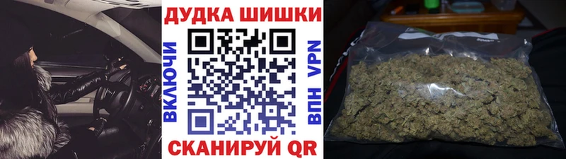 Конопля сатива  наркотики  Луховицы 